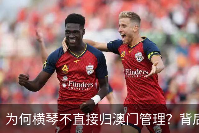 为何横琴不直接归澳门管理？背后的深刻战略考量